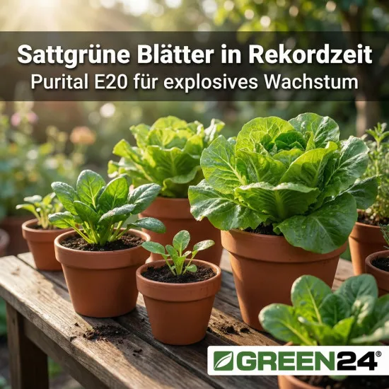 Purital E20 Stickstoff-Dünger – 250ml Profi-Konzentrat für explosives Pflanzenwachstum | 20% Stickstoff + Magnesium + Spurenelemente