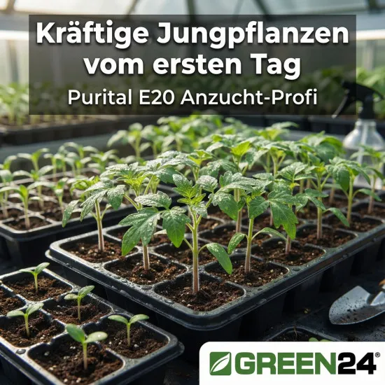 Purital E20 Stickstoff-Dünger – 250ml Profi-Konzentrat für explosives Pflanzenwachstum | 20% Stickstoff + Magnesium + Spurenelemente