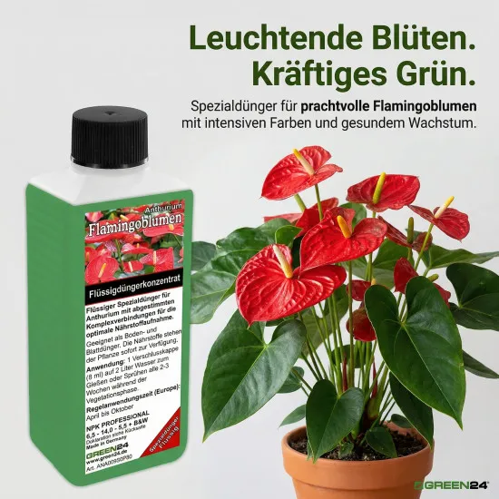 Anthurium-Dünger Pro – 250ml NPK Spezialkonzentrat für Flamingoblumen, für gesunde Anthurien mit spektakulären Blüten