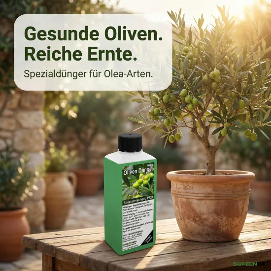 Oliven-Dünger – 250ml Spezialdünger für Olea europaea NPK | Für reiche Olivenernte & mediterrane Pracht | Ideal für Olivenbäume & Ölbäume