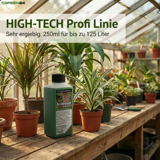 Drachenbaum-Dünger Dracaena HIGH-TECH NPK Volldünger Profi Linie – 250ml Spezial-Flüssigdünger für alle Drachenbaum-Arten – Wurzel- und Blattdüngung für kräftiges Wachstum und intensive Blattfarben