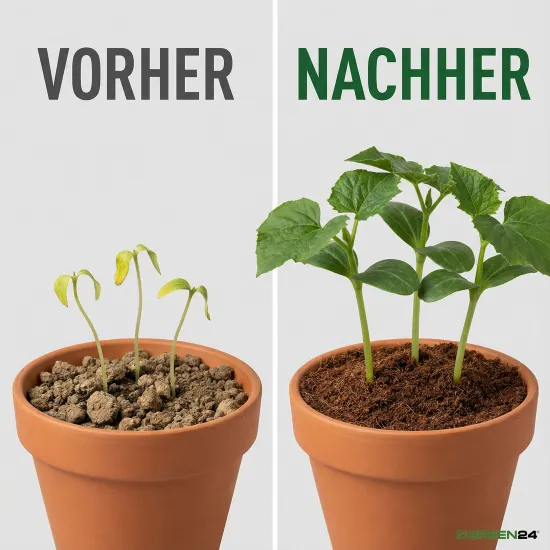 Anzuchterde Aussaaterde Saaterde XL - 10 Ltr - Substrat für die Pflanzenanzucht