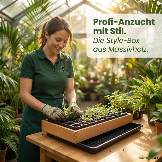 Gewächshaus Style-Box Beige | Anzuchtkasten aus Birke Massivholz