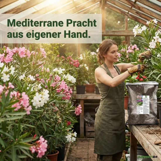 Oleander-Erde Oliven-Erde Substrat PROFI LINE 10 Liter – Spezialerde mit Langzeitdünger für Balkon & Terrasse