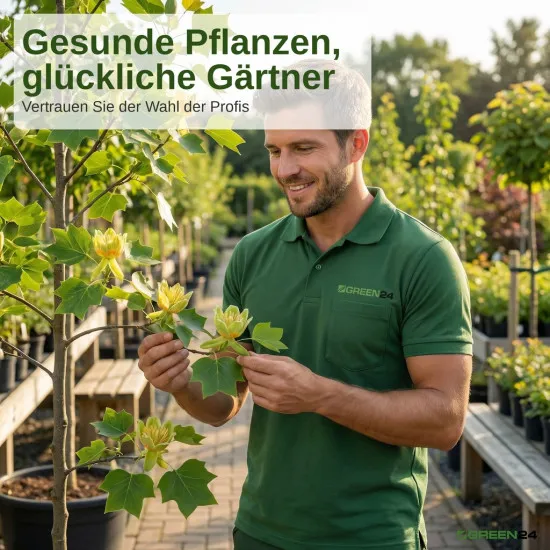 Blühende Bäume Blütenbäume NPK Volldünger 250ml