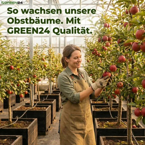 Obstbaum Beerenstrauch Dünger XL 1 l Zum düngen von Obst und Beeren NPK Volldünger