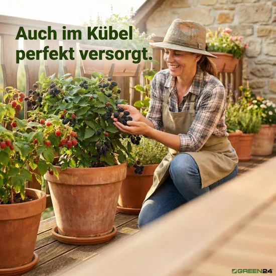 Obstbaum Beerenstrauch Dünger XL 1 l Zum düngen von Obst und Beeren NPK Volldünger