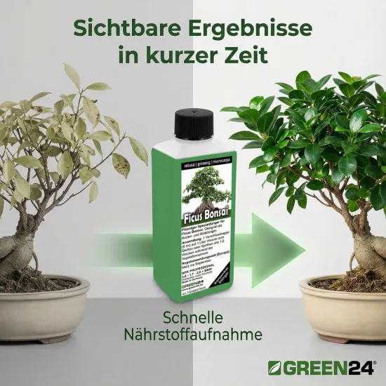 Ficus Ginseng Bonsai Dünger – 250ml Spezialdünger für tropische Zimmerbonsais | Fördert charakteristische Luftwurzeln & Stammverdickung | Optimal für Ficus microcarpa