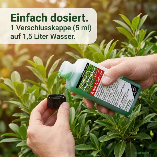 Prunus laurocerasus Extra + Eisen Spezial Kirschlorbeer Dünger FE PRO 250ml
