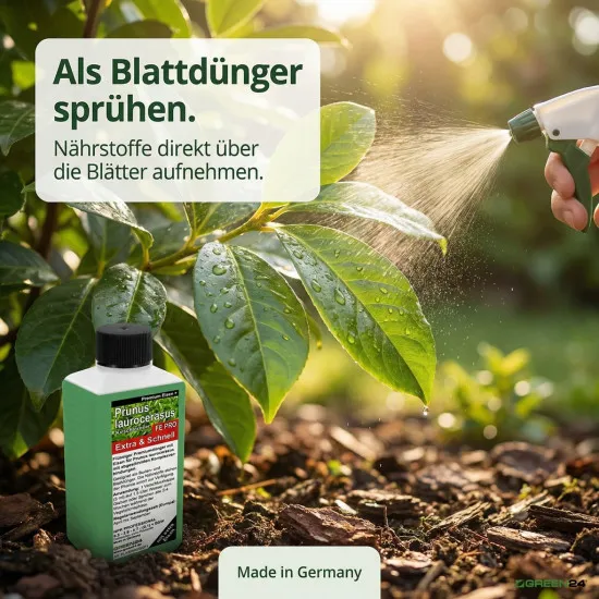 Prunus laurocerasus Extra + Eisen Spezial Kirschlorbeer Dünger FE PRO 250ml