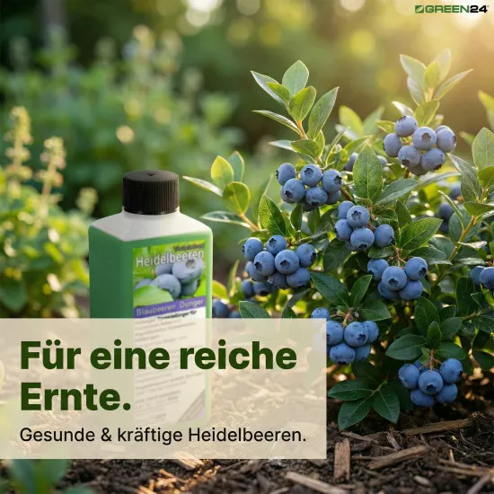 Blueberry Liquid Fertilizer 250ml