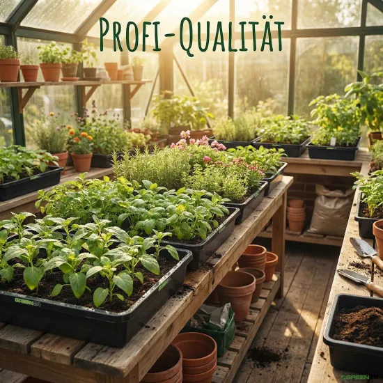 Profi Gewächshaus-Wanne XL565G gelocht für Pflanzen, Gewächshäuser und Garten