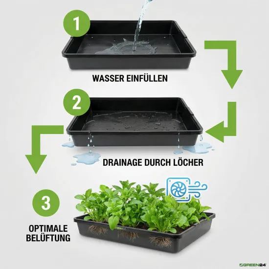 Profi Gewächshaus-Wanne XL565G gelocht für Pflanzen, Gewächshäuser und Garten