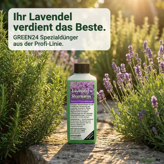 Lavendel & Rosmarin Dünger – NPK Volldünger für Lamiaceae | Lavandula, Rosmarinus officinalis, Salbei, Thymian, Minze, Basilikum | Flüssigdünger Konzentrat 250 ml