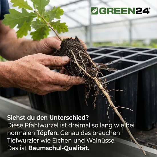 QP 15T15 BTP Baumschulen Anzuchtplatte Topfplatte 28x36cm (15 eckíge Töpfe BxLxH 65x65x150 mm) stabile Profi Multitopf-Platte