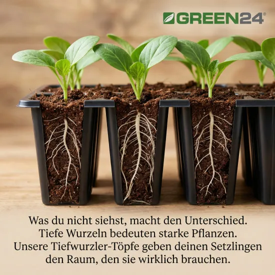 QP 12T18 BTP Baumschulen Anzuchtplatte Topfplatte 28x36cm (12 eckíge Töpfe BxLxH 75x77x180 mm) stabile Profi Multitopf-Platte