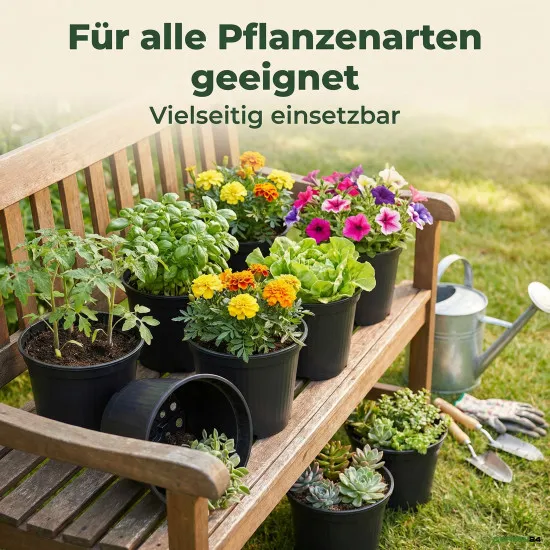 100 Runde Pflanztöpfe Ø 13 cm