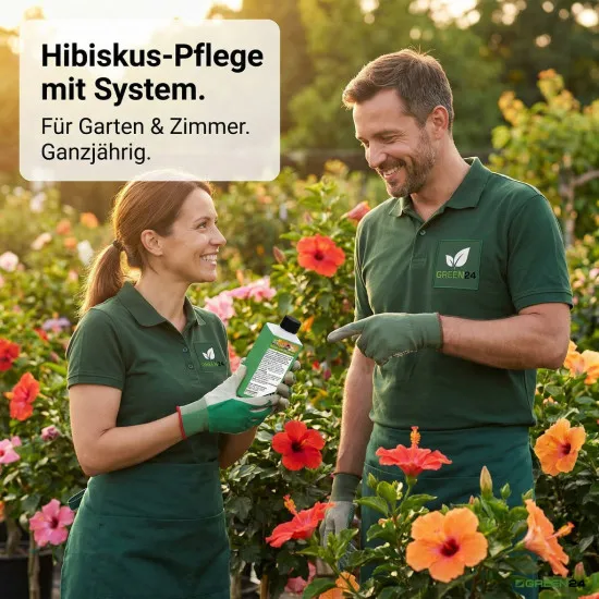 Hibiskusdünger XL 1 Liter Hibiscus düngen Flüssigdünger NPK