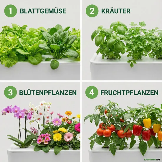 Hydro-Anzucht Nährlösung NPK Voll-Dünger für Kräuter & Gemüse Jungpflanzen in Hydrokultur und Hydroponik Systemen - 250ml Konzentrat