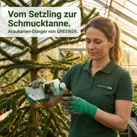 Araukarien-Dünger XL 1 Liter Araucaria Andentanne Schmucktanne
