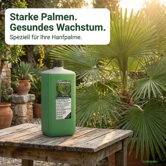 Trachycarpus Dünger XL 1 Liter für Hanfpalmen Tessinerpalmen Trachycarpus fortunei wagnerianus