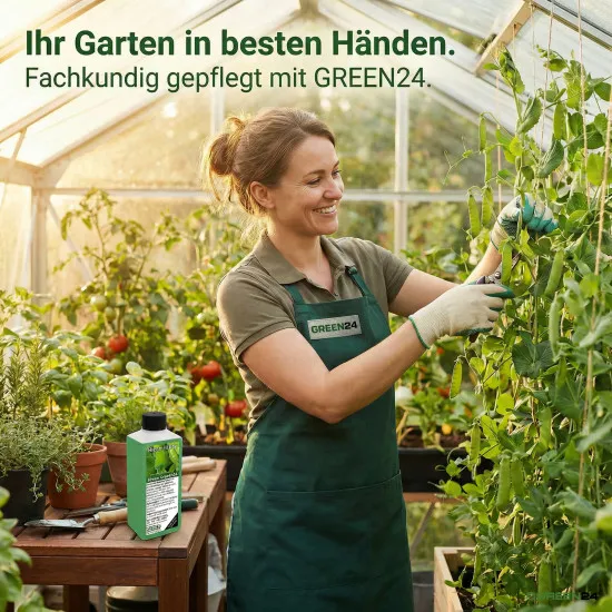 Hülsenfrüchte Dünger – 250ml Spezialdünger für Bohnen, Erbsen, Linsen | Fördert Knöllchenbakterien & Stickstoffbindung | Für reiche Ernte & besten Geschmack