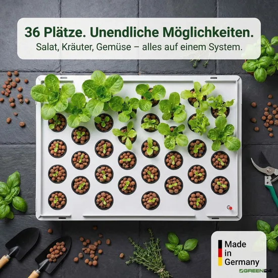 Aqua 36-C Pro Hydroponic Anzucht-System XL 40 x 60 cm, für Nutzpflanzen, Gemüse, Kräuter, Salate, Zierpflanzen in Tiefwasserkultur (DWC)