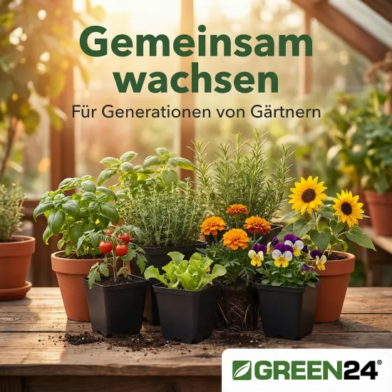 40 St. Pflanztöpfe 9x9x9,5cm Vierecktopf Profi Anzuchttopf