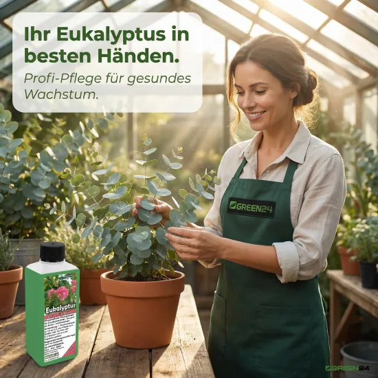 Eukalyptus-Dünger NK-Flüssigdünger für Eucalypten 250ml Professionelle Nährstofflösung für gesundes Wachstum