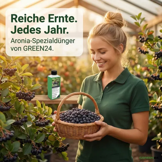 Aronia Flüssigdünger NPK 6,5+6,2+6,8 | Schwarze & Filzige Apfelbeere (Aronia melanocarpa & arbutifolia) | Blattdünger & Wurzeldünger | 250 ml Konzentrat = bis 100 L | Made in Germany