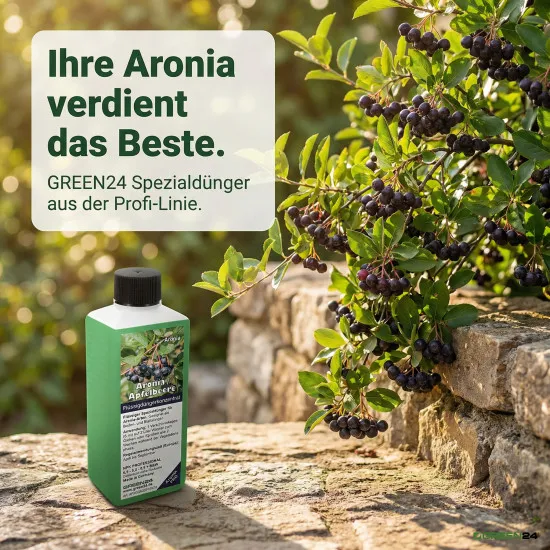 Aronia Flüssigdünger NPK 6,5+6,2+6,8 | Schwarze & Filzige Apfelbeere (Aronia melanocarpa & arbutifolia) | Blattdünger & Wurzeldünger | 250 ml Konzentrat = bis 100 L | Made in Germany