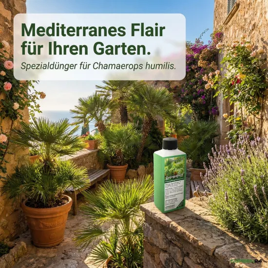 Zwergpalmen-Dünger Profi | Chamaerops humilis NPK Flüssigdünger 250ml | Fächerpalme düngen | GREEN24 PROFI LINIE