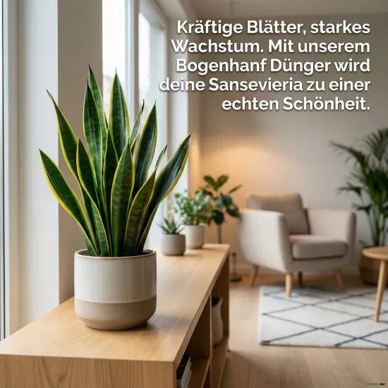 Bogenhanf Dünger – Spezialdünger für Sansevieria, 250 ml