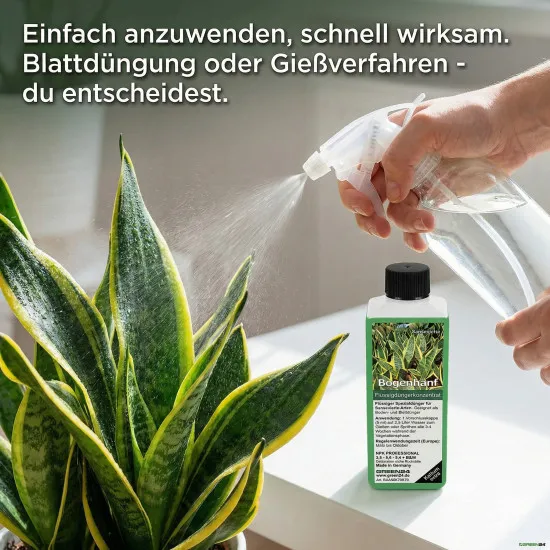 Bogenhanf Dünger – Spezialdünger für Sansevieria, 250 ml