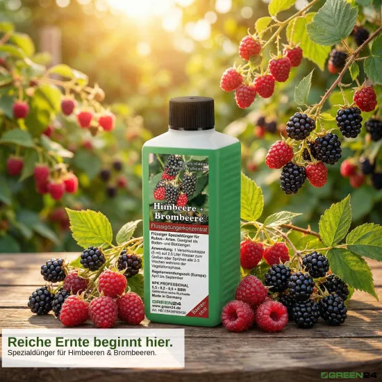 Himbeeren (Rubus idaeus) & Brombeeren (Rubus fruticosus) Dünger, PROFI LINIE – 250ml Spezial-Flüssigdünger für eine reiche Ernte