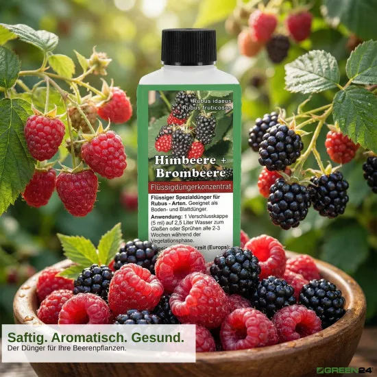 Himbeeren (Rubus idaeus) & Brombeeren (Rubus fruticosus) Dünger, PROFI LINIE – 250ml Spezial-Flüssigdünger für eine reiche Ernte