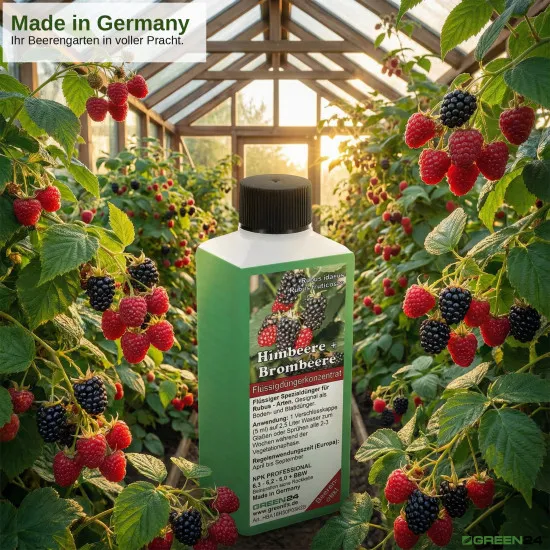 Himbeeren (Rubus idaeus) & Brombeeren (Rubus fruticosus) Dünger, PROFI LINIE – 250ml Spezial-Flüssigdünger für eine reiche Ernte