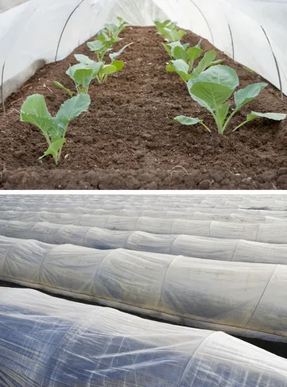 Garten-Vlies M300, 35g/m², 240 cm breit