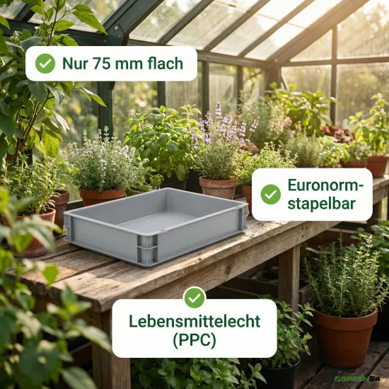 Eurobox Eurokiste 600x400x75mm - lebensmittelecht, geschlossene Griffe, Farbe hellgrau