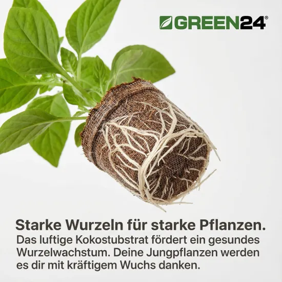 128 Stk. Kokos-Quelltabletten Ø45mm Made by Jiffy® Quell-Töpfe Aussaaterde Anzuchterde Kokostablette mit Anleitung