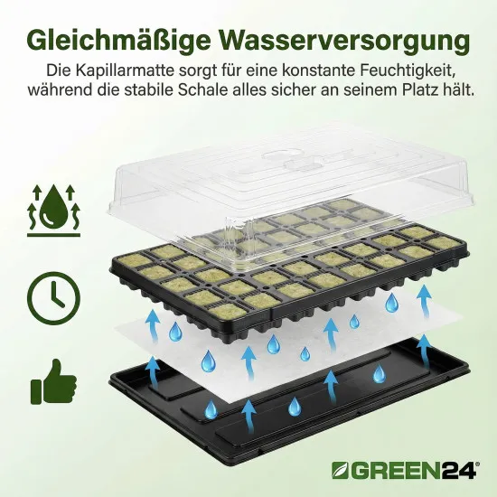 Anzuchthaus STW-77 inkl. 77 Steinwollewürfel 36x36x40mm (53,0 x 31,0 cm) (Typ G24)