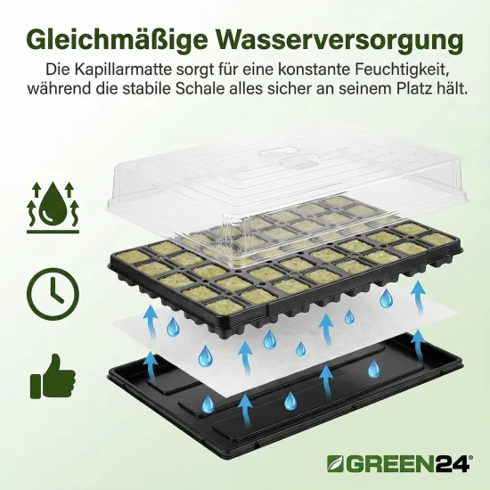 Anzuchthaus STW-150 inkl. 150 Steinwollewürfel 25x25x40mm (53,0 x 31,0 cm) (Typ G24)