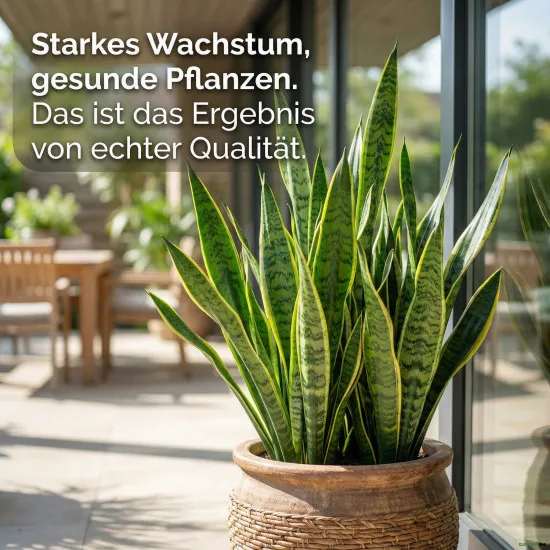 Bogenhanf Substrat – 10 Liter Sansevieria Erde | Torfreduziert | Aktuellste Rezeptur PROFI LINIE