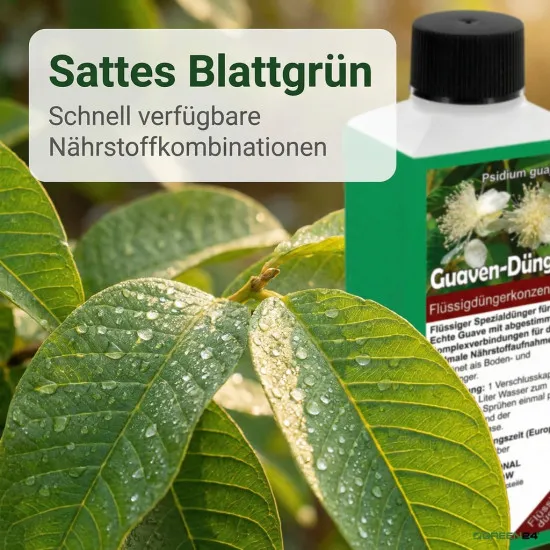 Guaven Dünger – HIGH-TECH NPK Flüssigdünger für Echte Guave (Psidium guajava) 250 ml – Perfekt für eine reiche Ernte und aromatische Früchte – Made in Germany