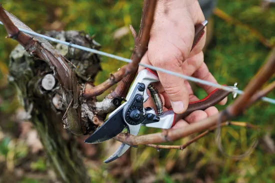 Felco 8 Elite - F-Tech beschichtete Klingen + Ledergriffe