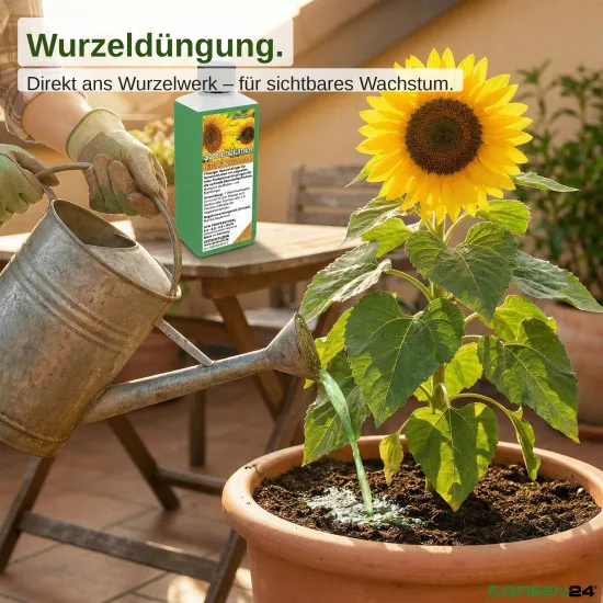 Sonnenblumen-Dünger - Helianthus NPK Flüssigdünger 250ml