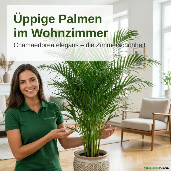 Bergpalmen-Dünger – 250ml Spezialdünger für Chamaedorea elegans | Für elegante Zimmerpflanzen & tropisches Wohnflair | Ideal für alle Bergpalmen-Arten