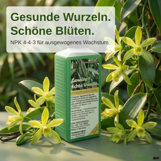 Echte Vanille Flüssigdünger, Gewürzvanille, Vanilla planifolia 250ml