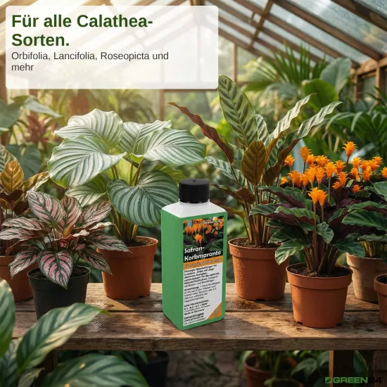 Calathea Crocata - Dünger (Safran-Korbmarante) - Mineralischer NPK Flüssigdünger 250ml