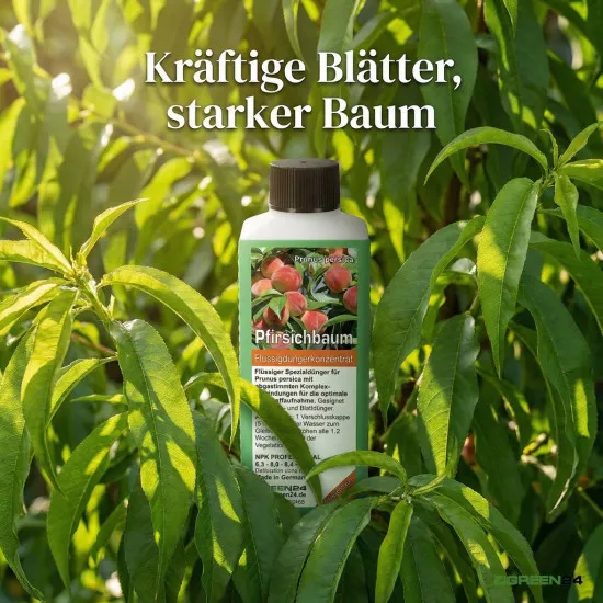 Pfirsich-Dünger - Prunus persica NPK Pfirsichbaum Flüssigdünger 250ml